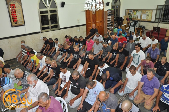 traw7 jabalayaua (13).JPG